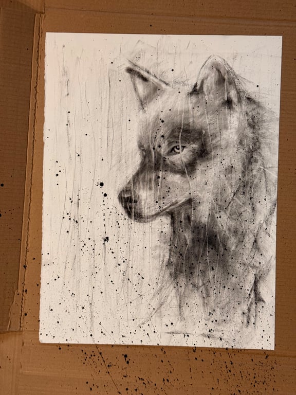 Craig Goff sample work