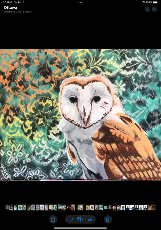 Daniel Martelock sample work