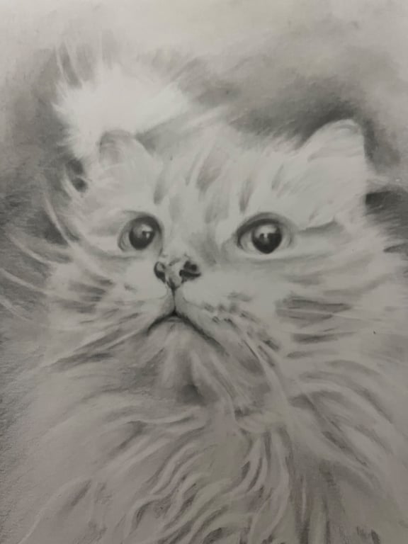 Sample work