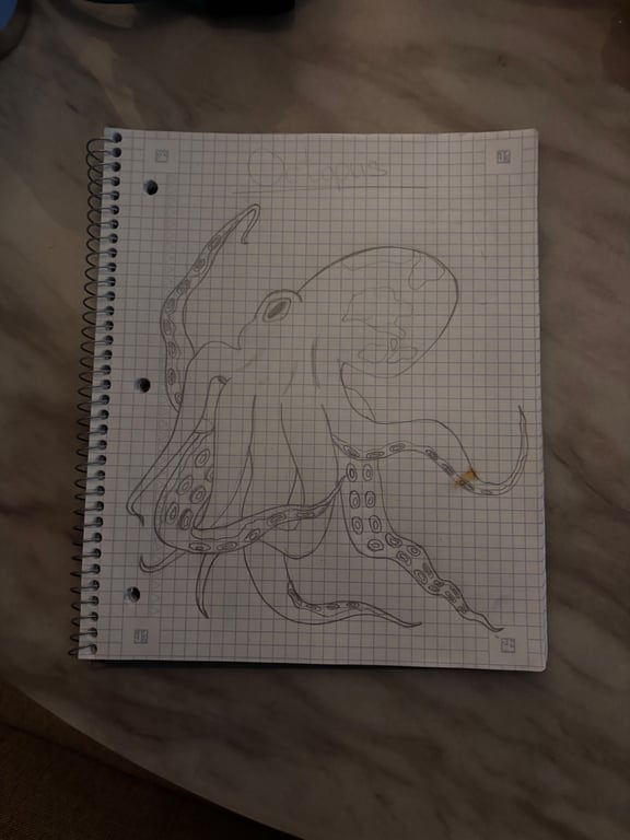 Sample work
