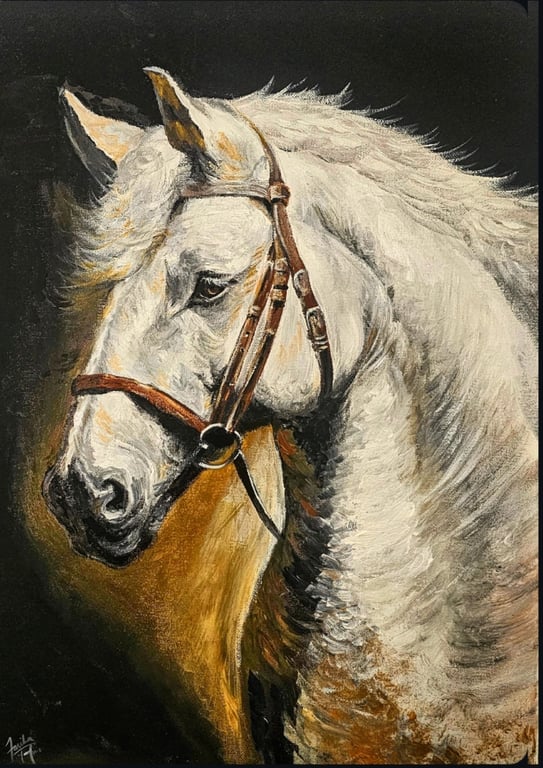 Fasiha Israr sample work