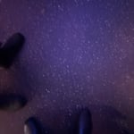 Toronto · audience favourite