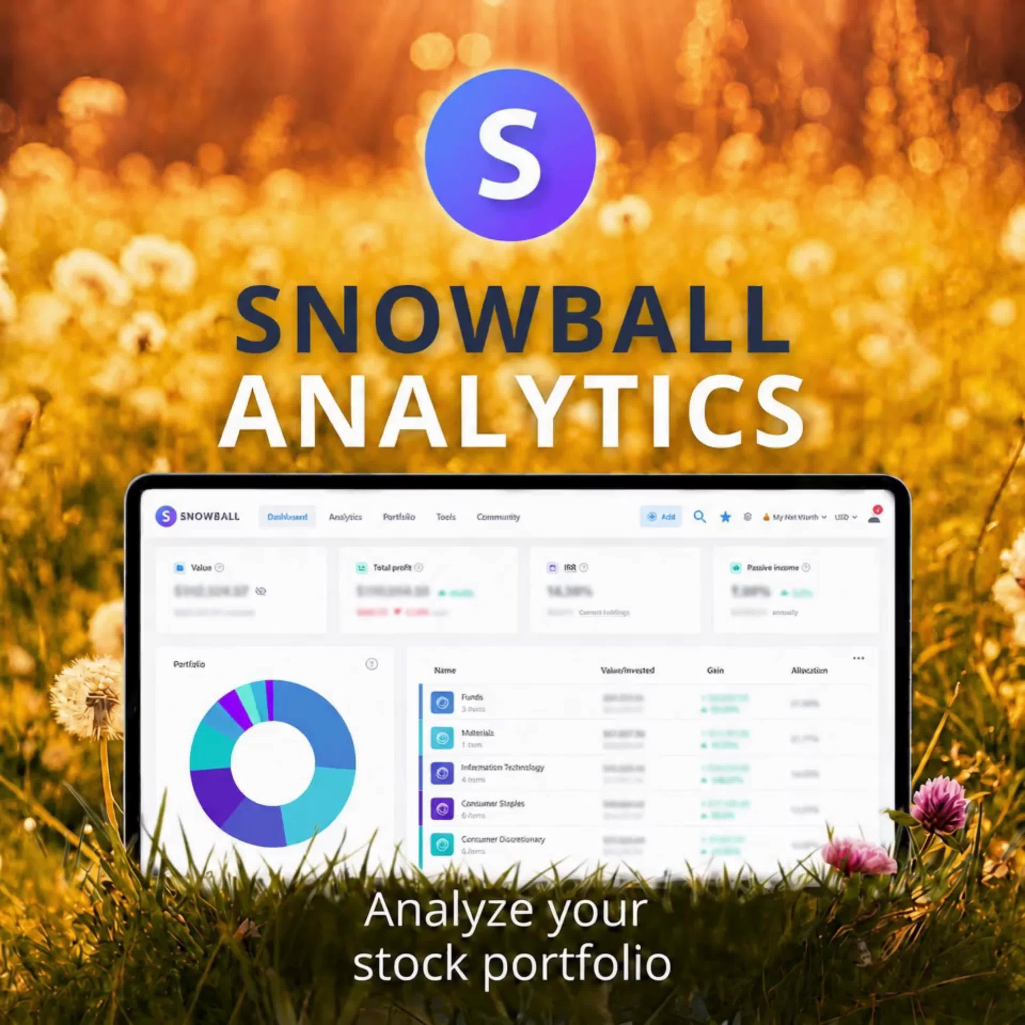 Analyze Your Portfolio Simply with Snowball Analytics