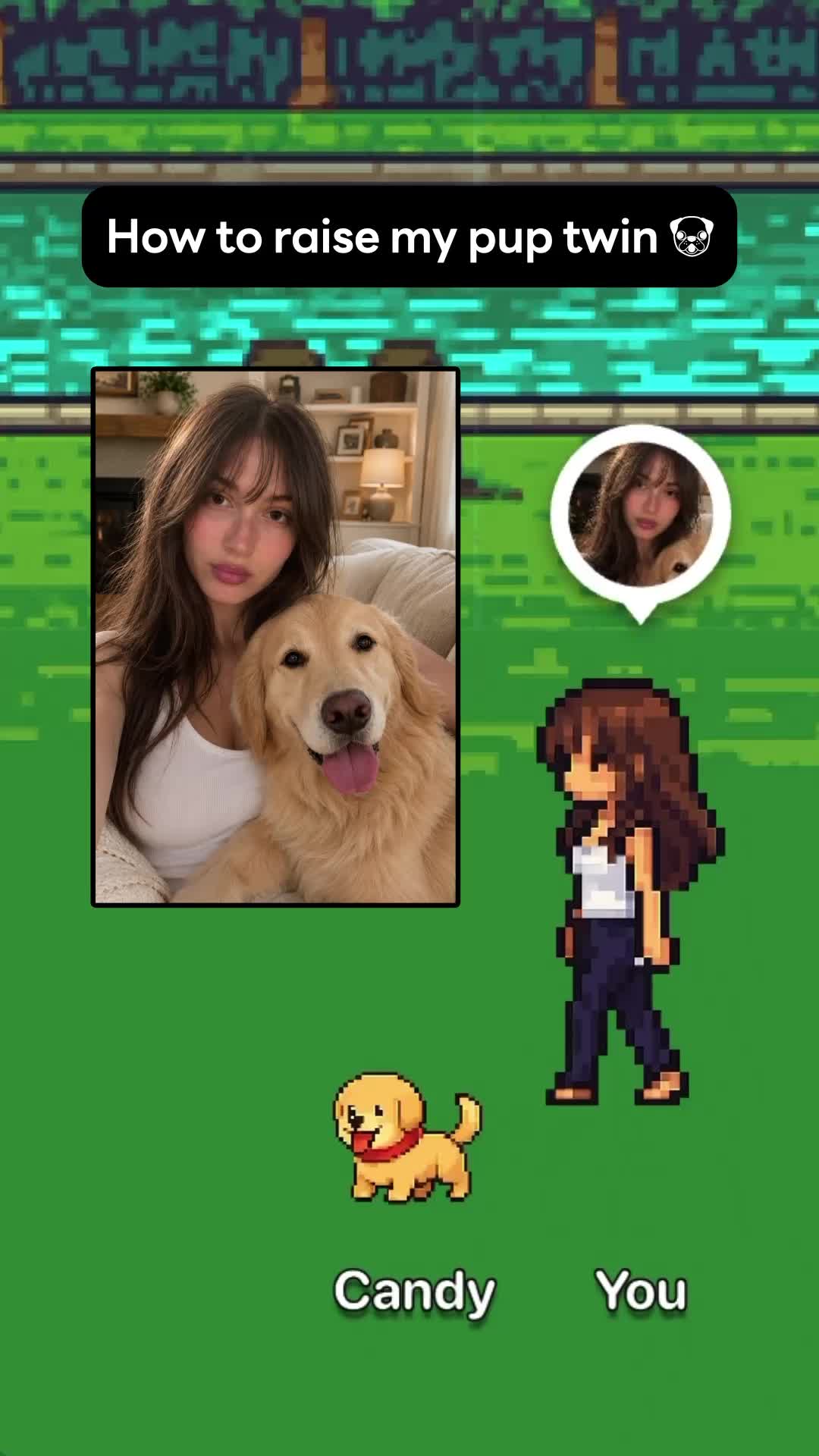 Create your one-of-a-kind pet!