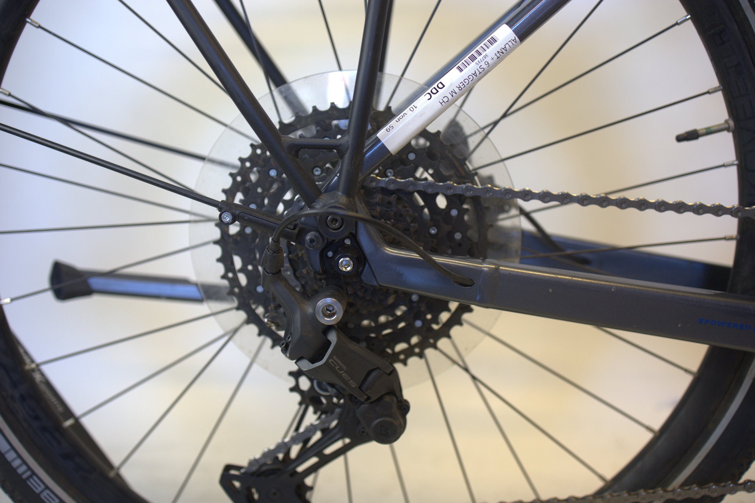 Trek Allant+ 6