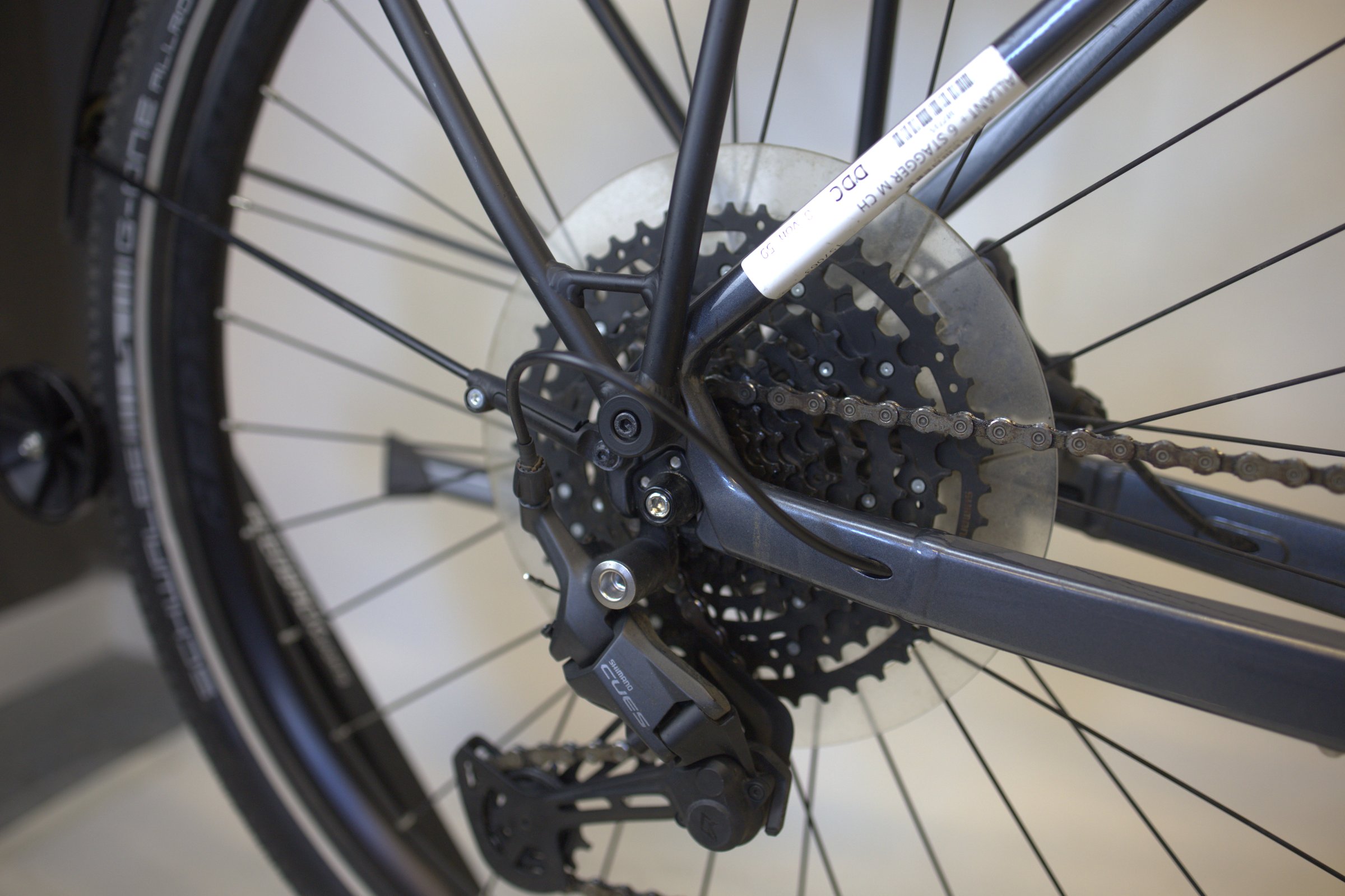 Trek Allant+ 6
