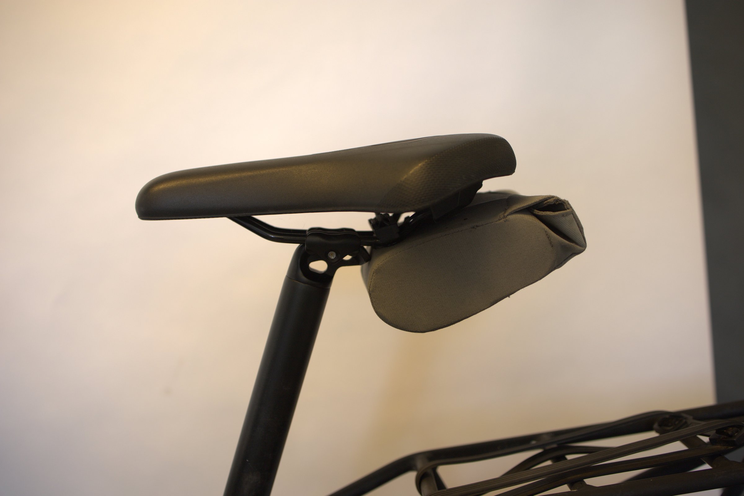 Riese & Müller Load4 75 vario