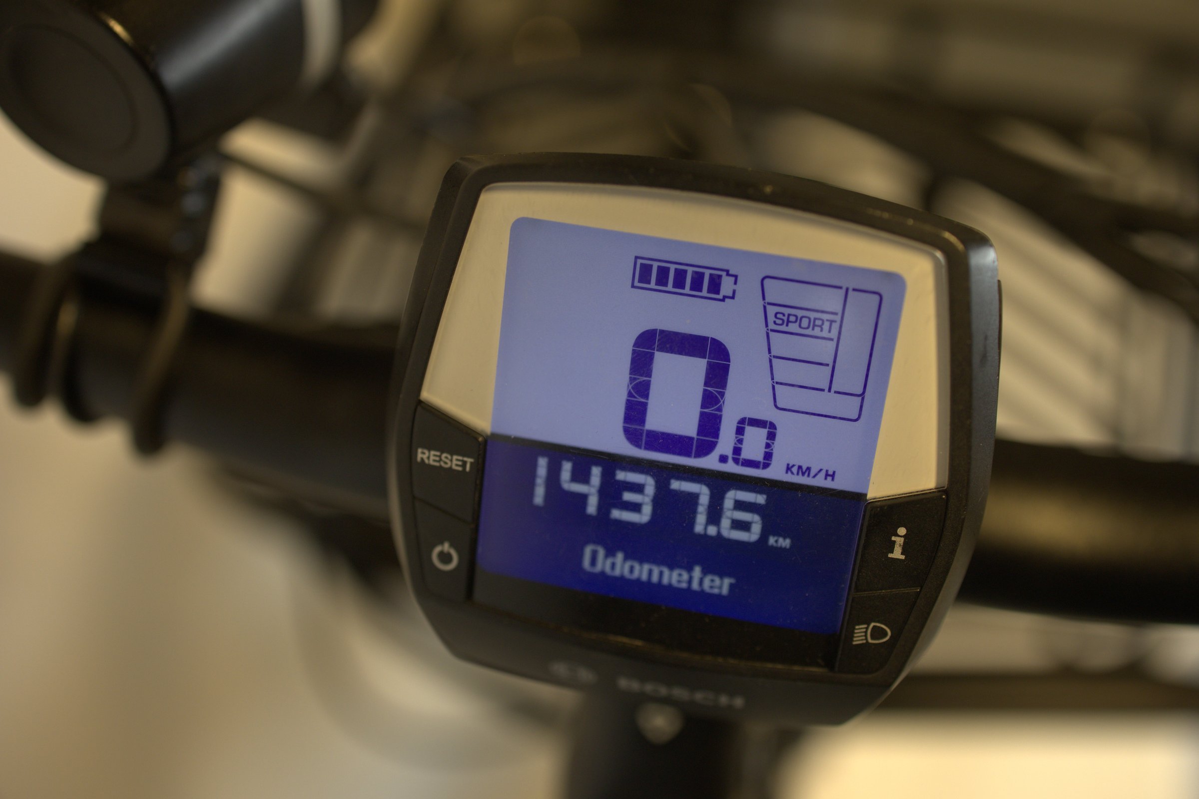 HERCULES ROB FAMILY (1437 km) med barnesete og vinterdekk, kurv og fothviler bak