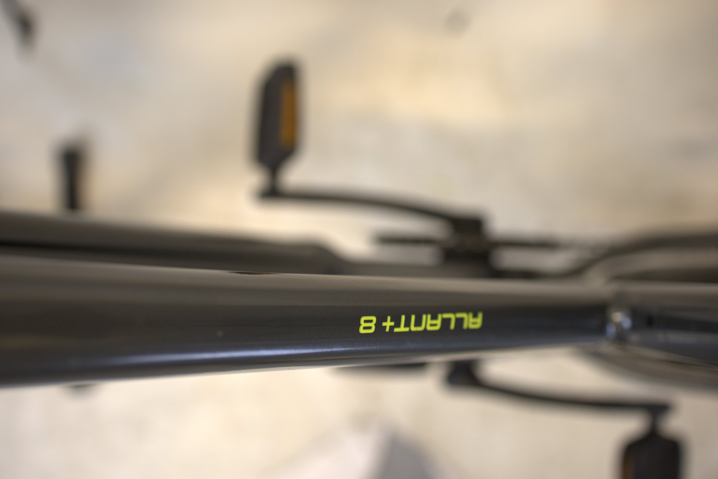 Trek Allant+ 8 Stagger