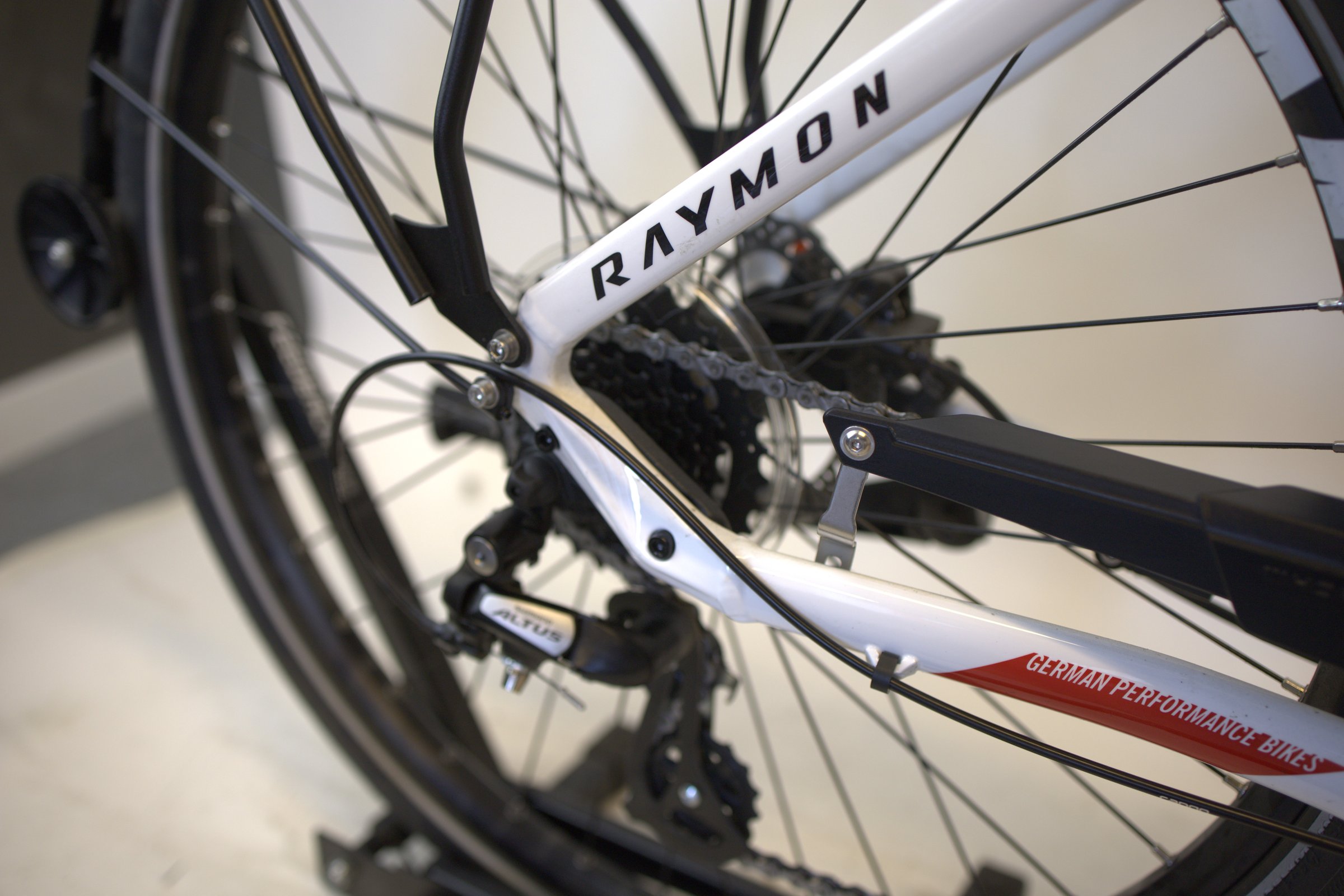 R RAYMON CityRay E 1.0