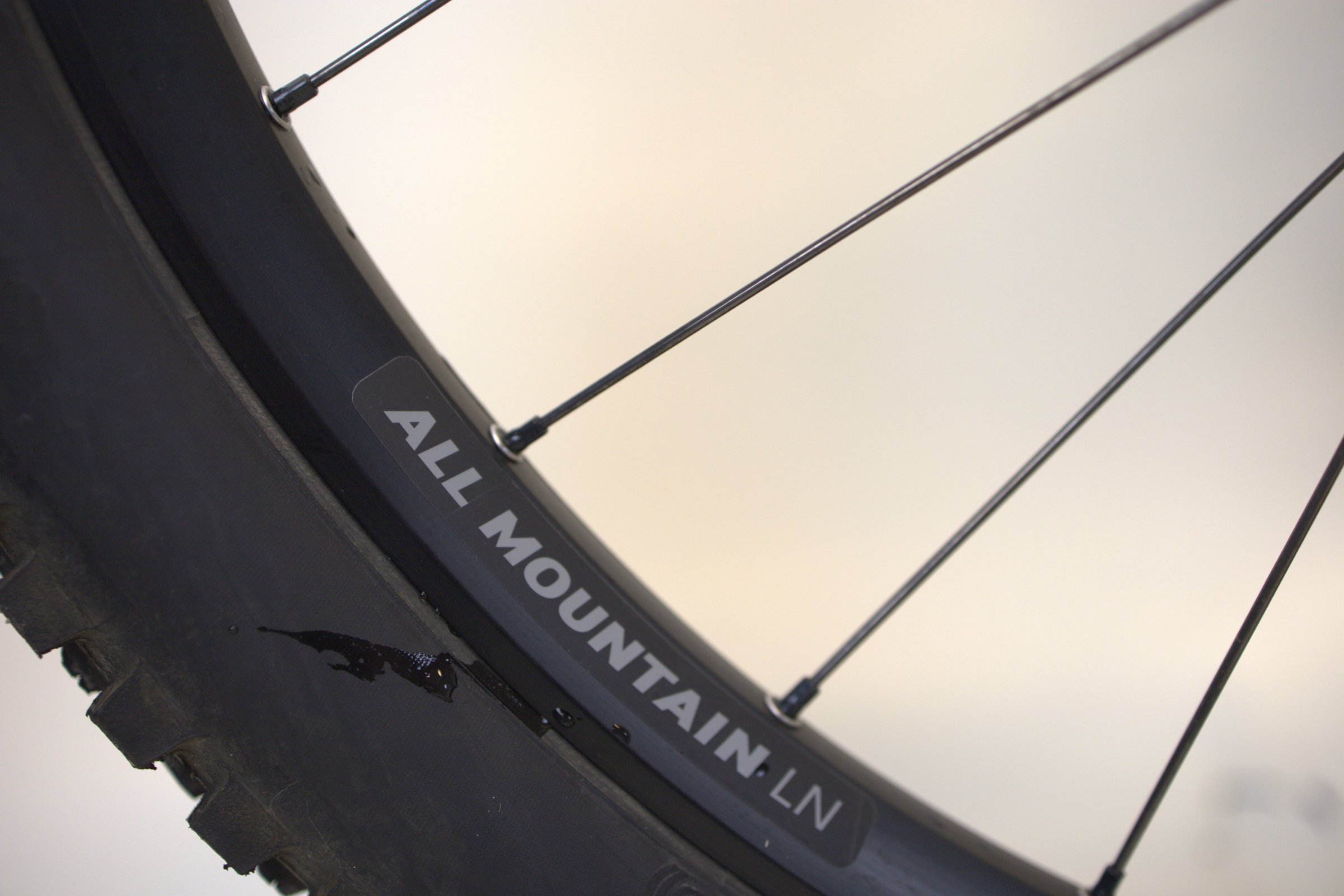 Canyon Spectral 6 XS