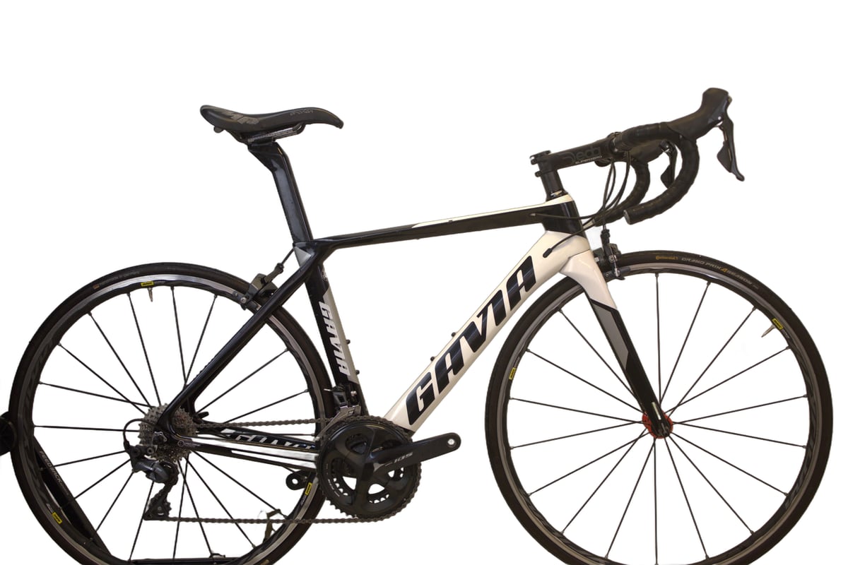 Gavia Imperiale 