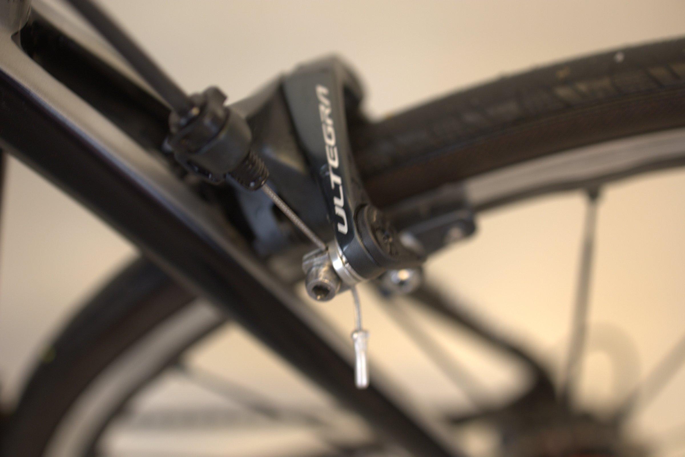 Gavia Imperiale 