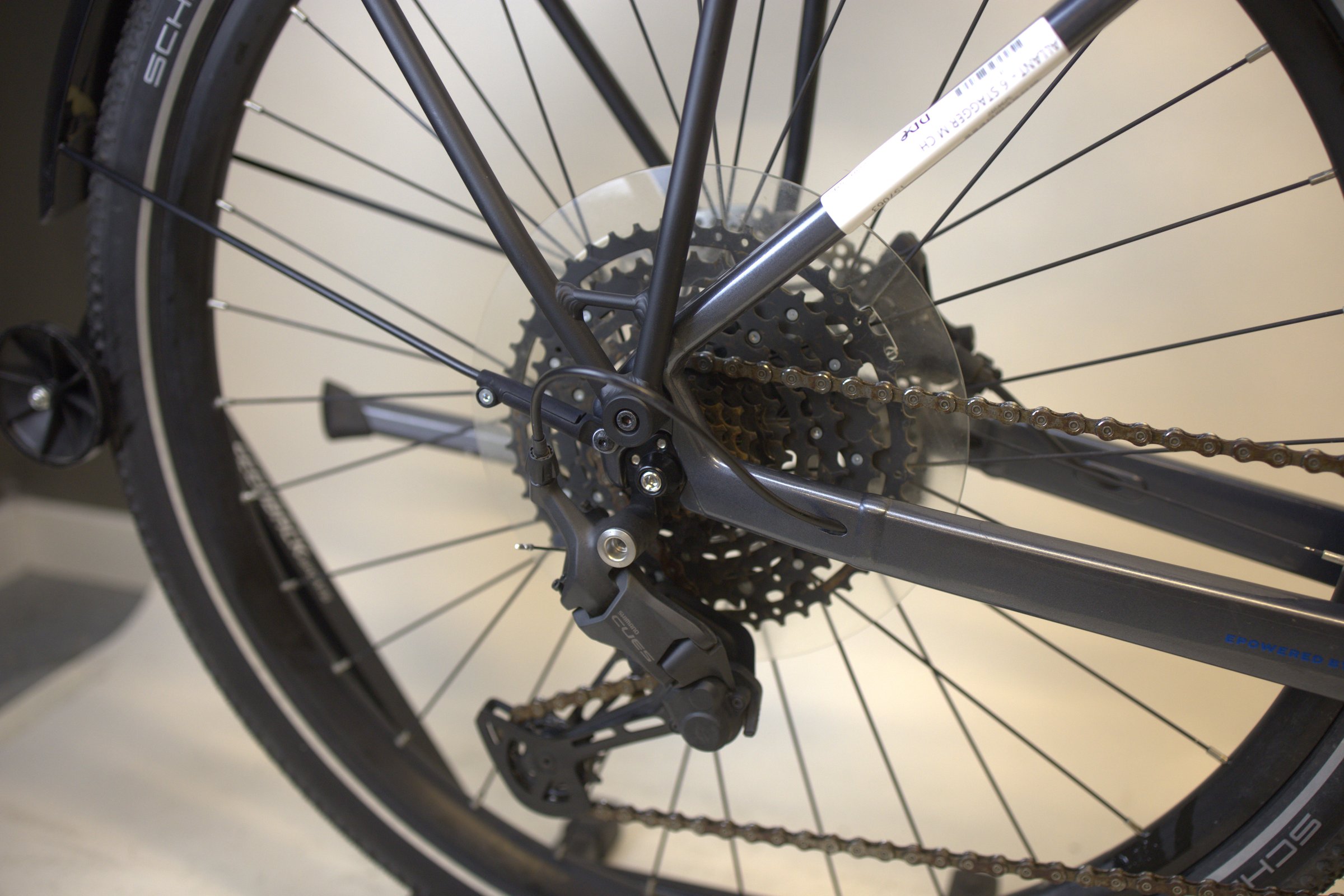 Trek Allant+ 6