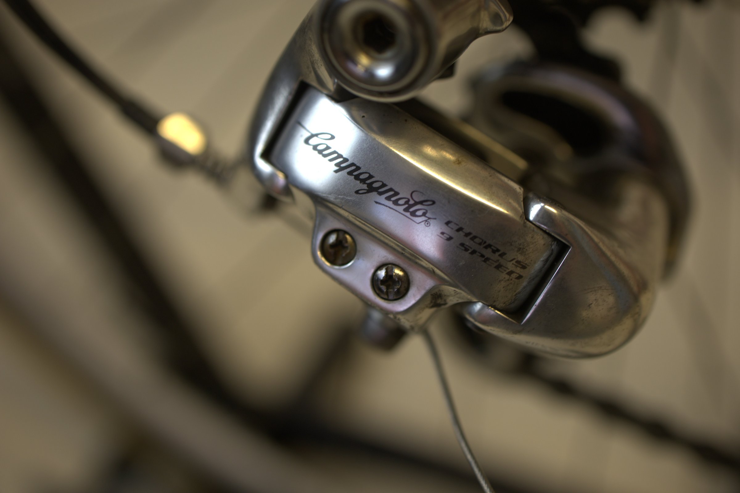 Pinarello Stelvio Campagnolo