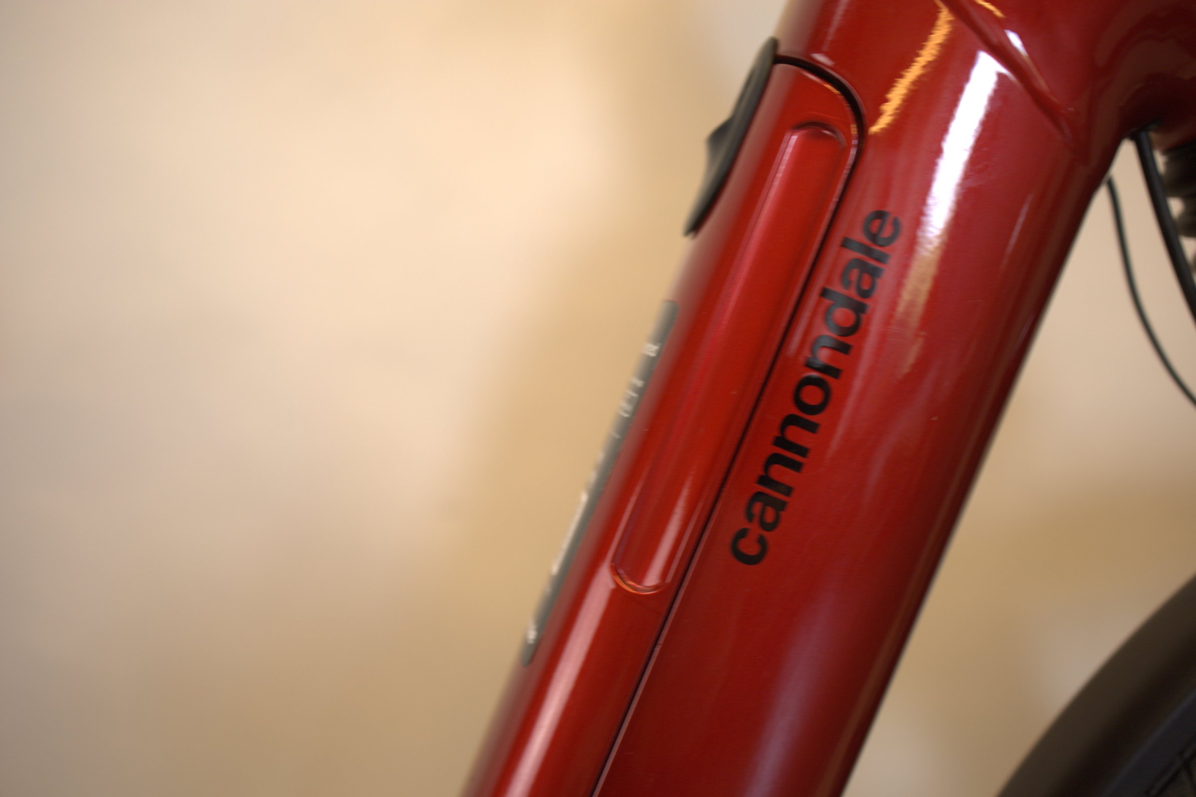 Cannondale Mavaro Neo 5+