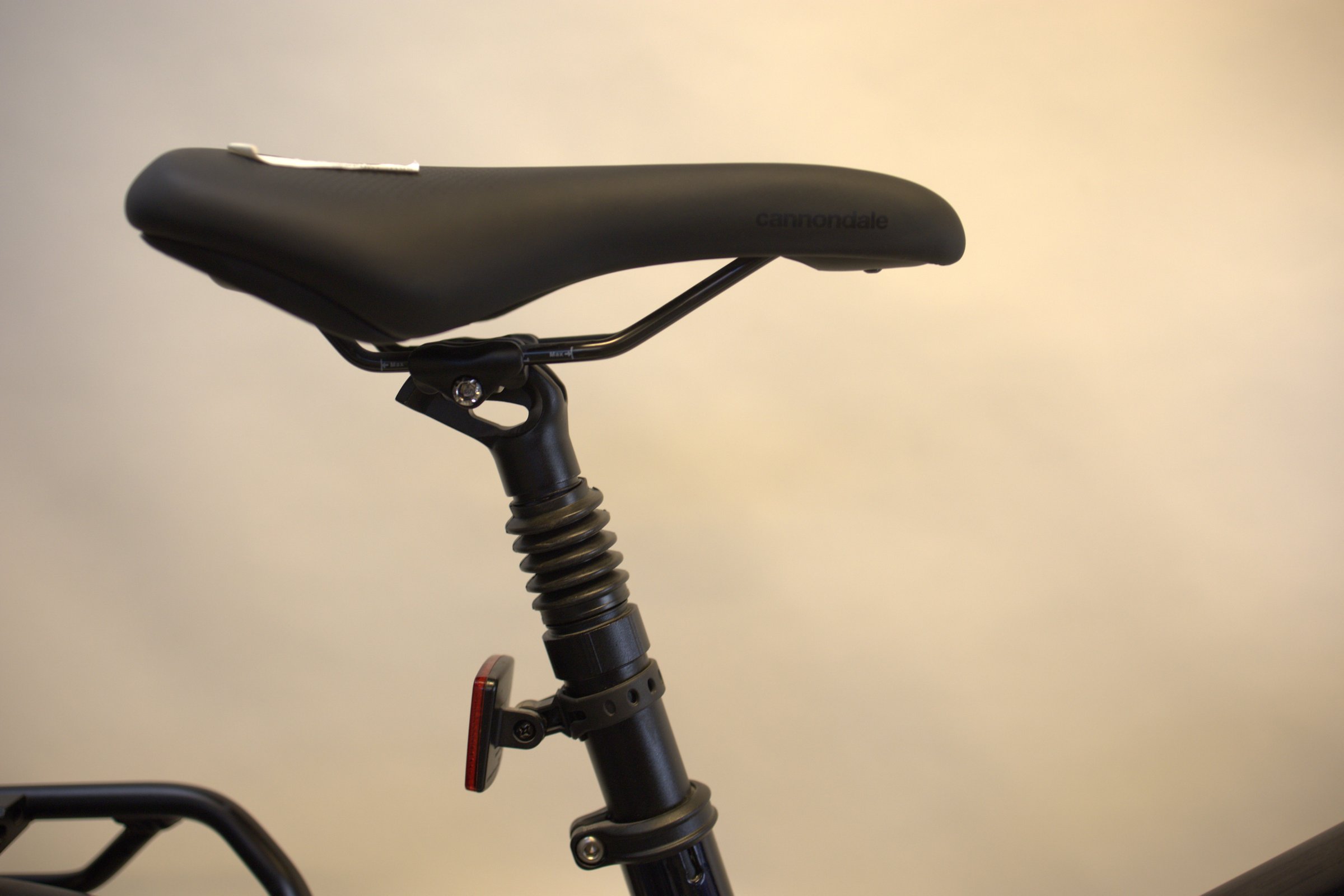 Cannondale Tesoro Neo X 2