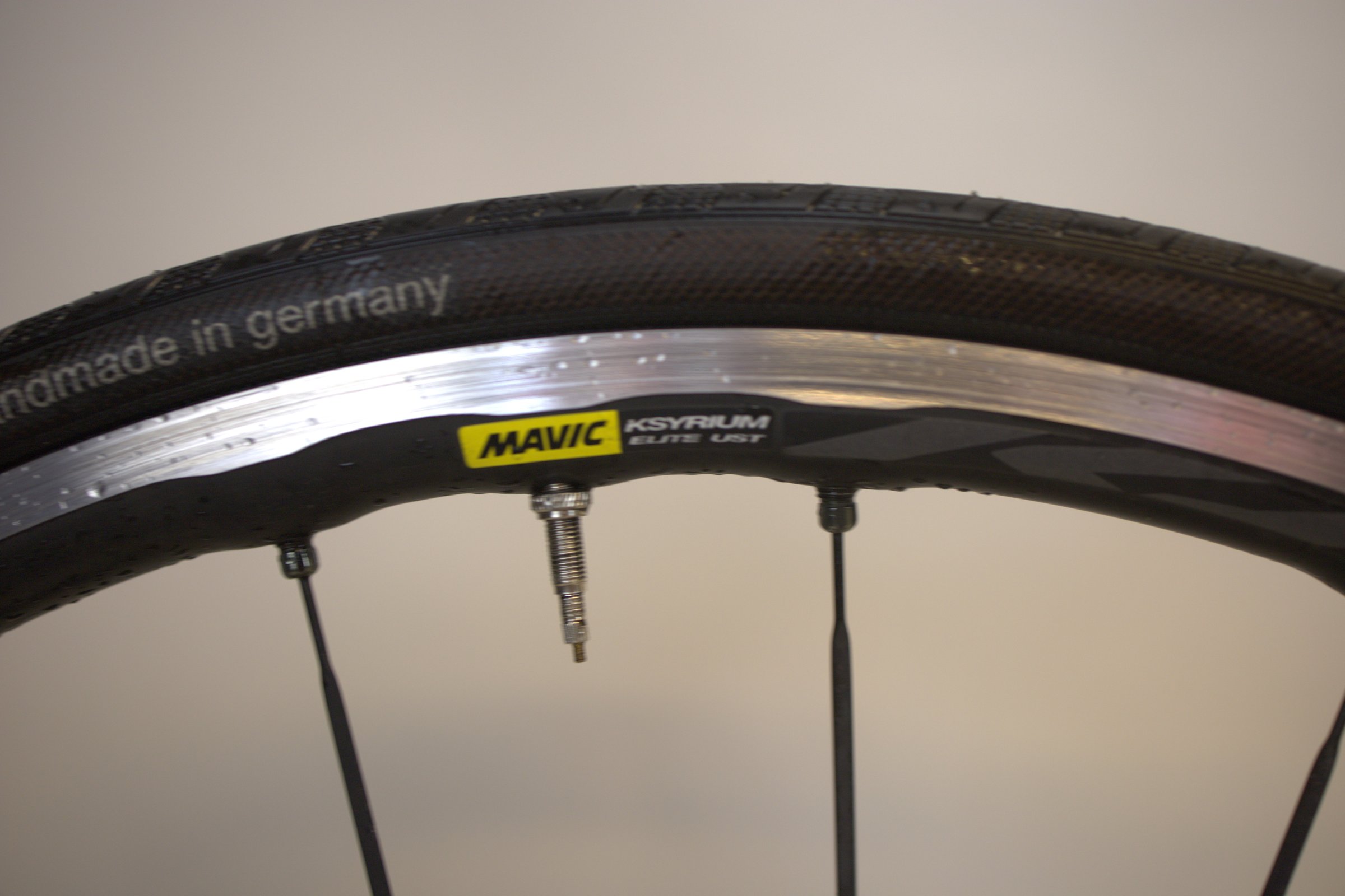 Gavia Imperiale 