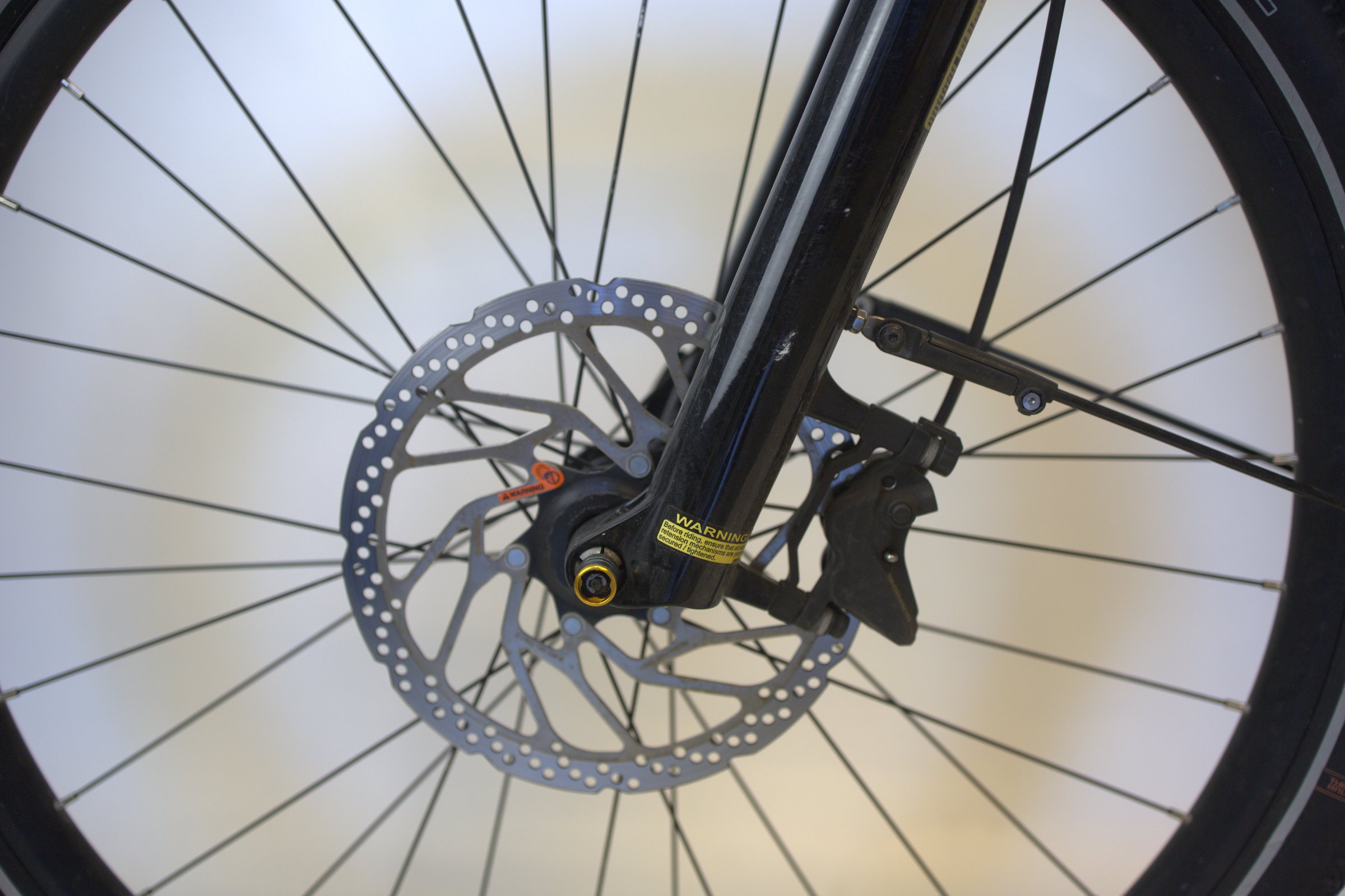 Trek Allant+ 6