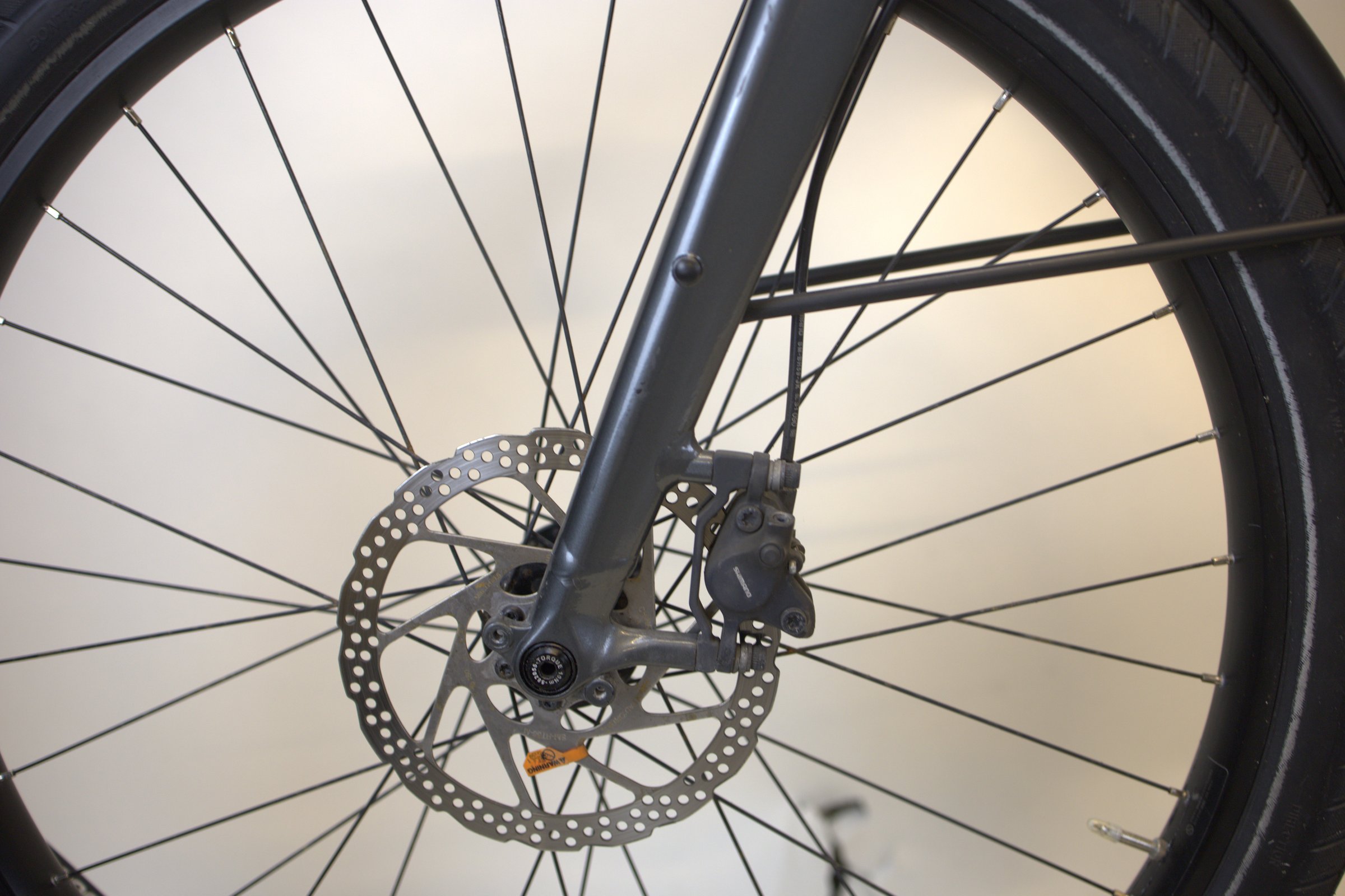 Trek Allant+ 8 Stagger