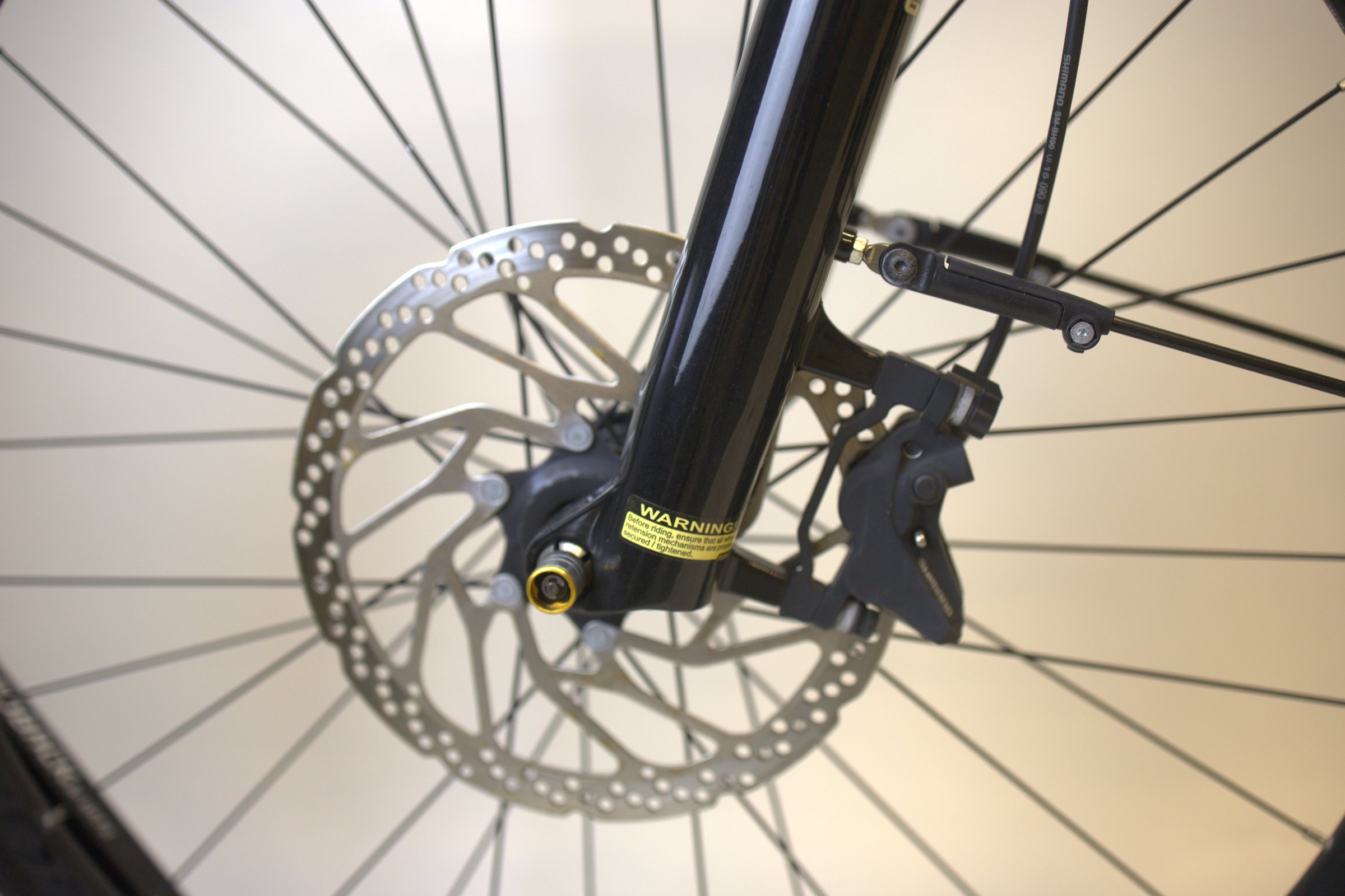 Trek Allant+ 6
