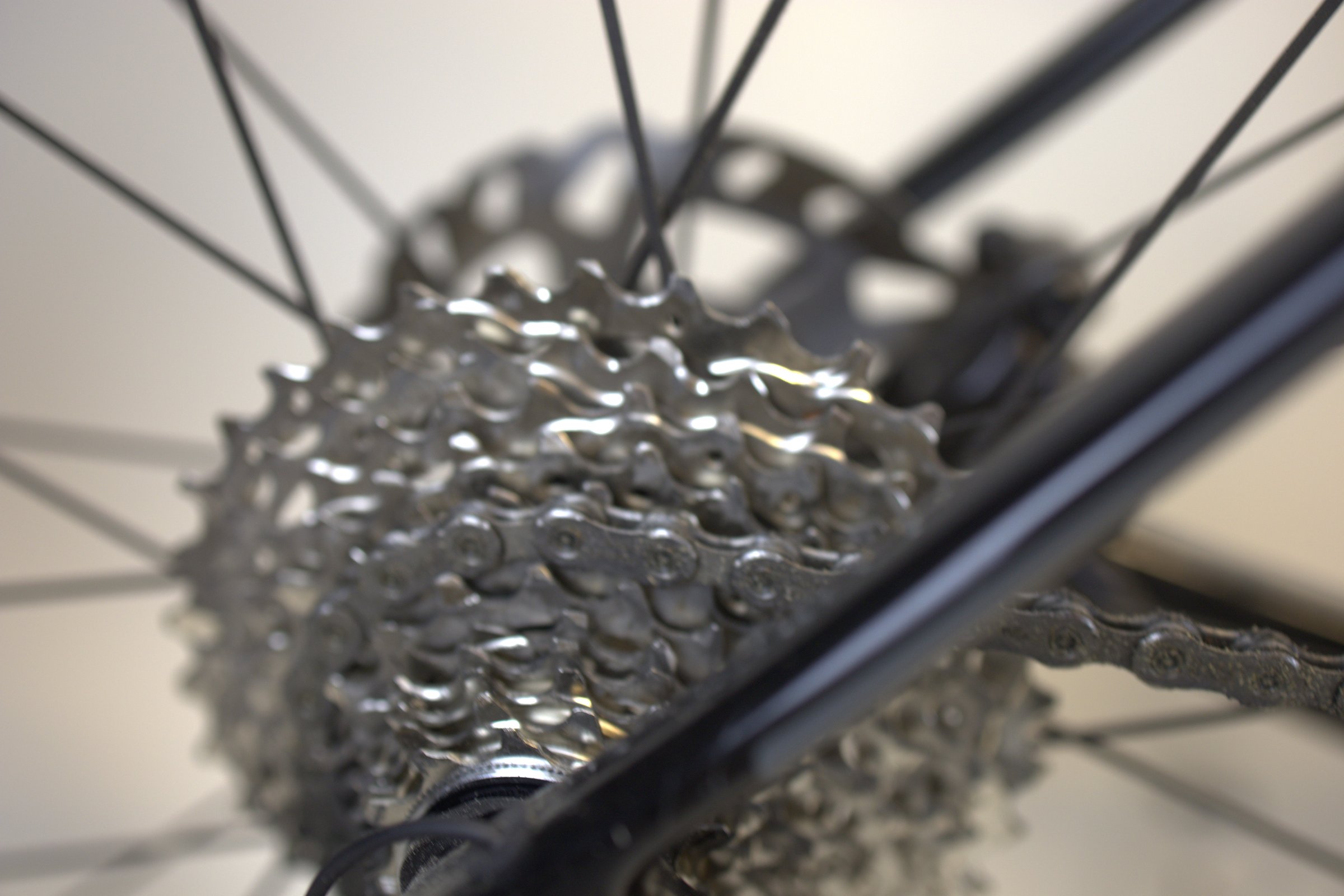 Wilier Rave SL SHIMANO 105 Di2 (NY)