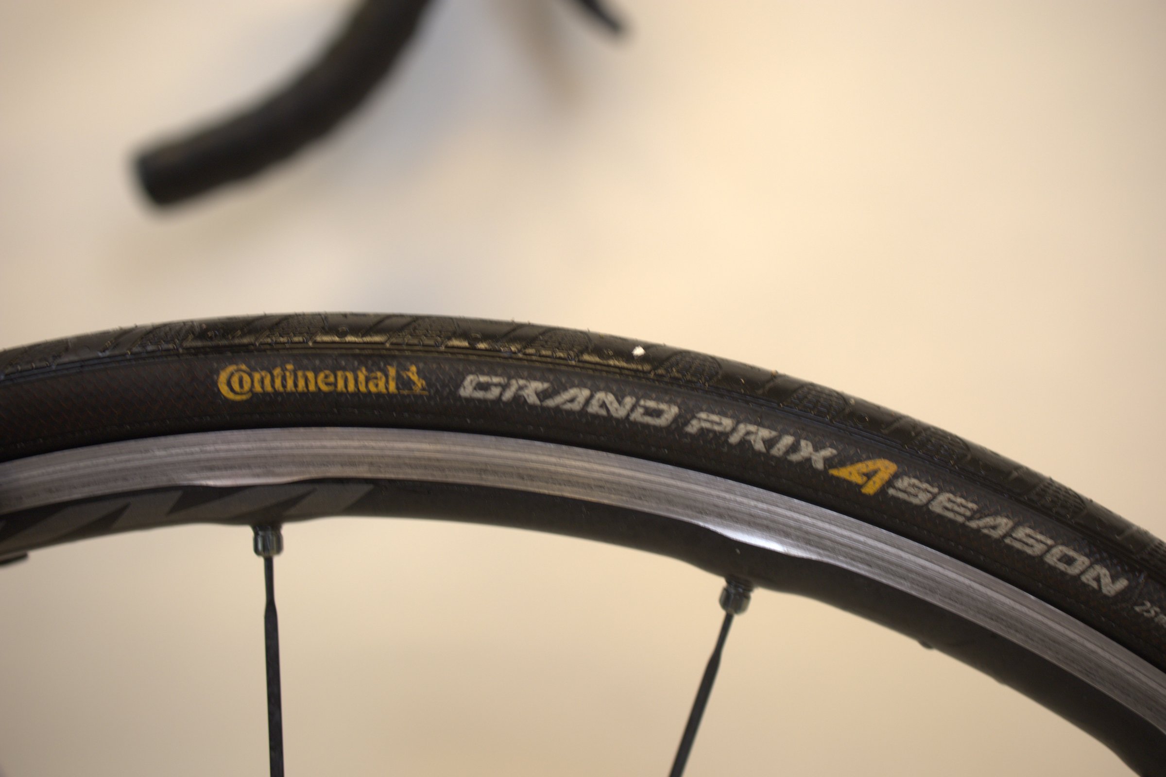 Gavia Imperiale 