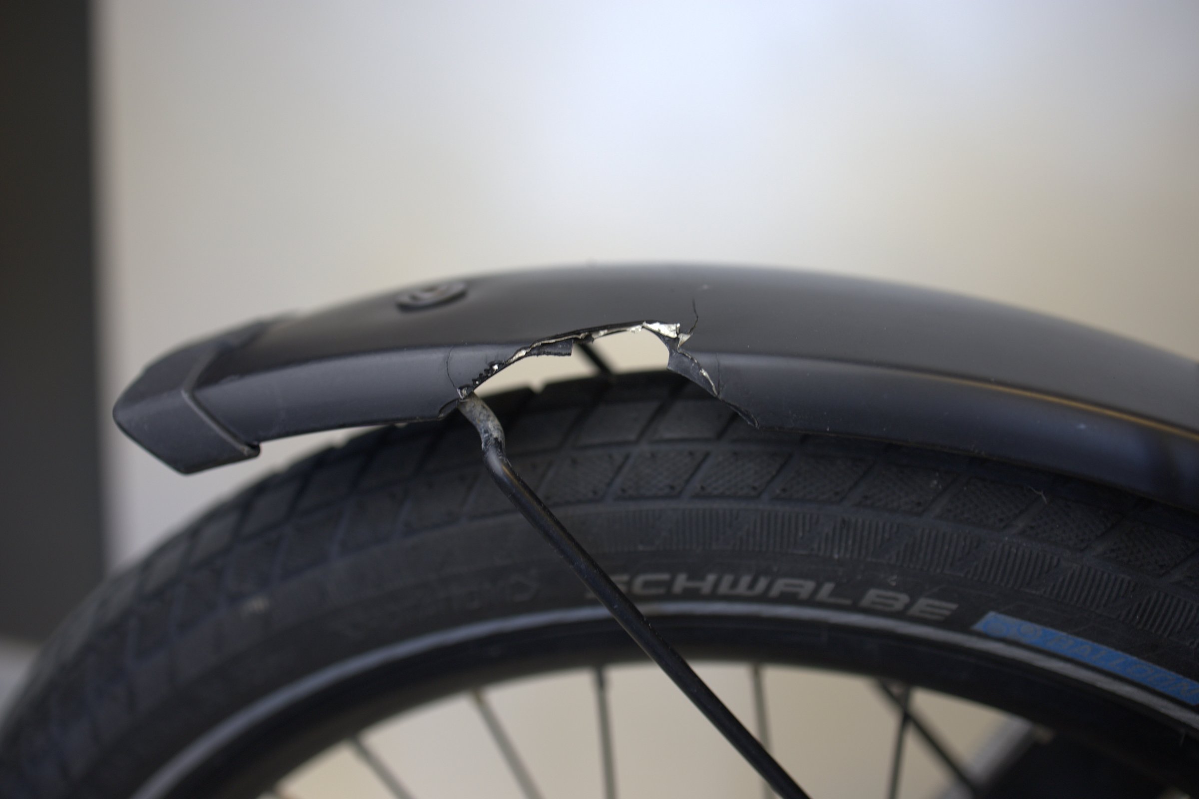 Riese & Müller Load4 75 vario
