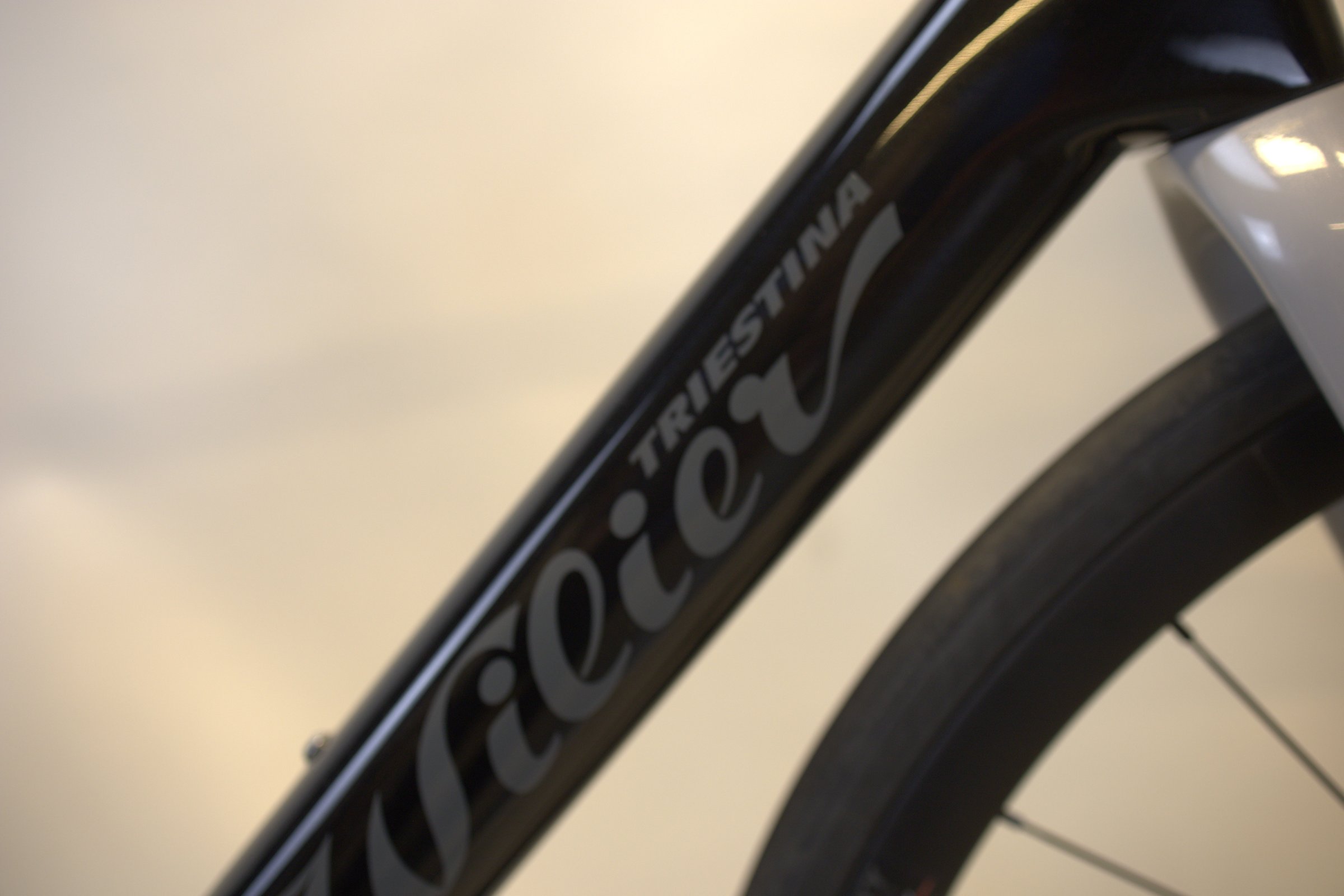 Wilier Rave SL SHIMANO 105 Di2 (NY)