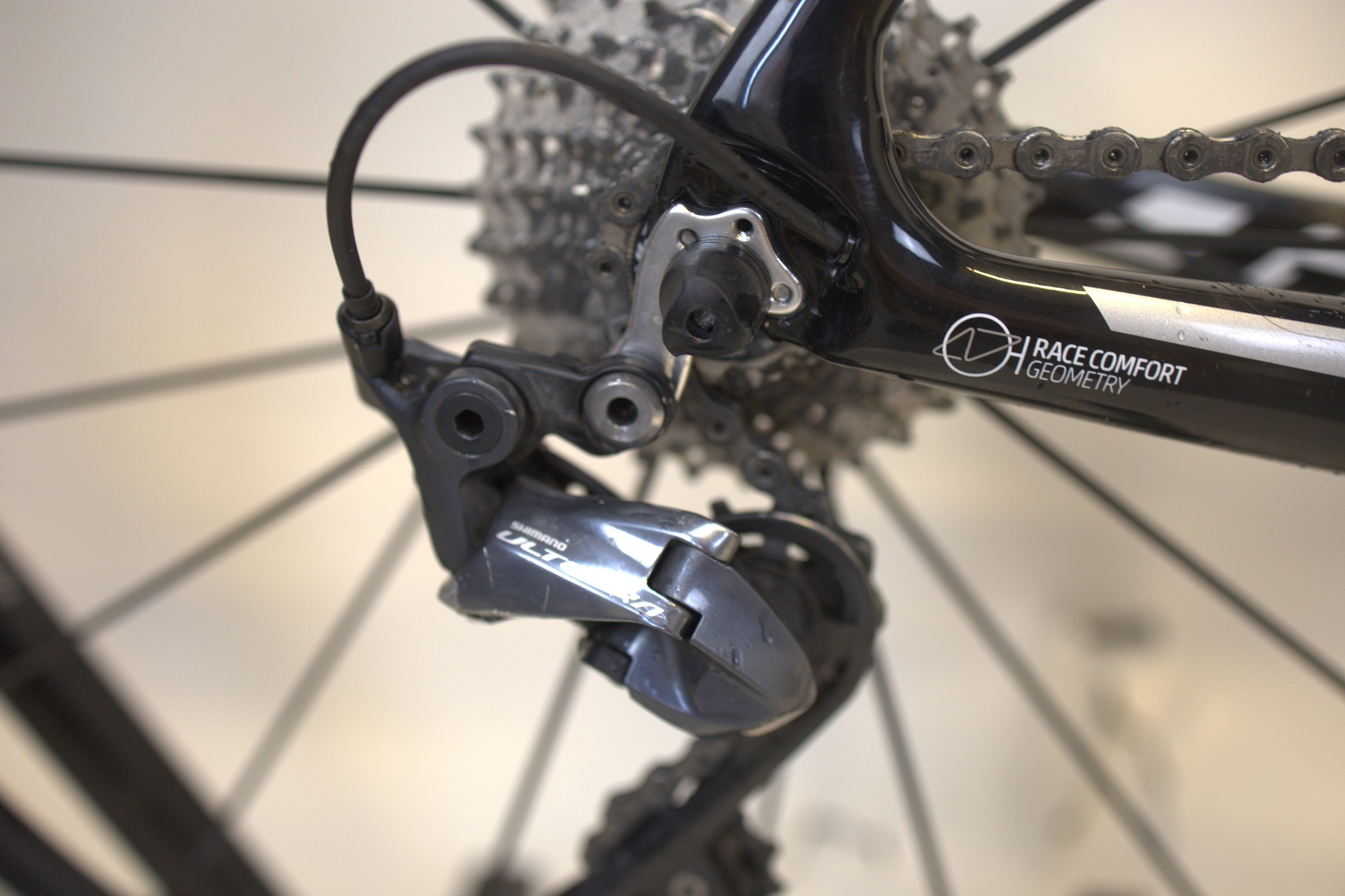 Gavia Imperiale 