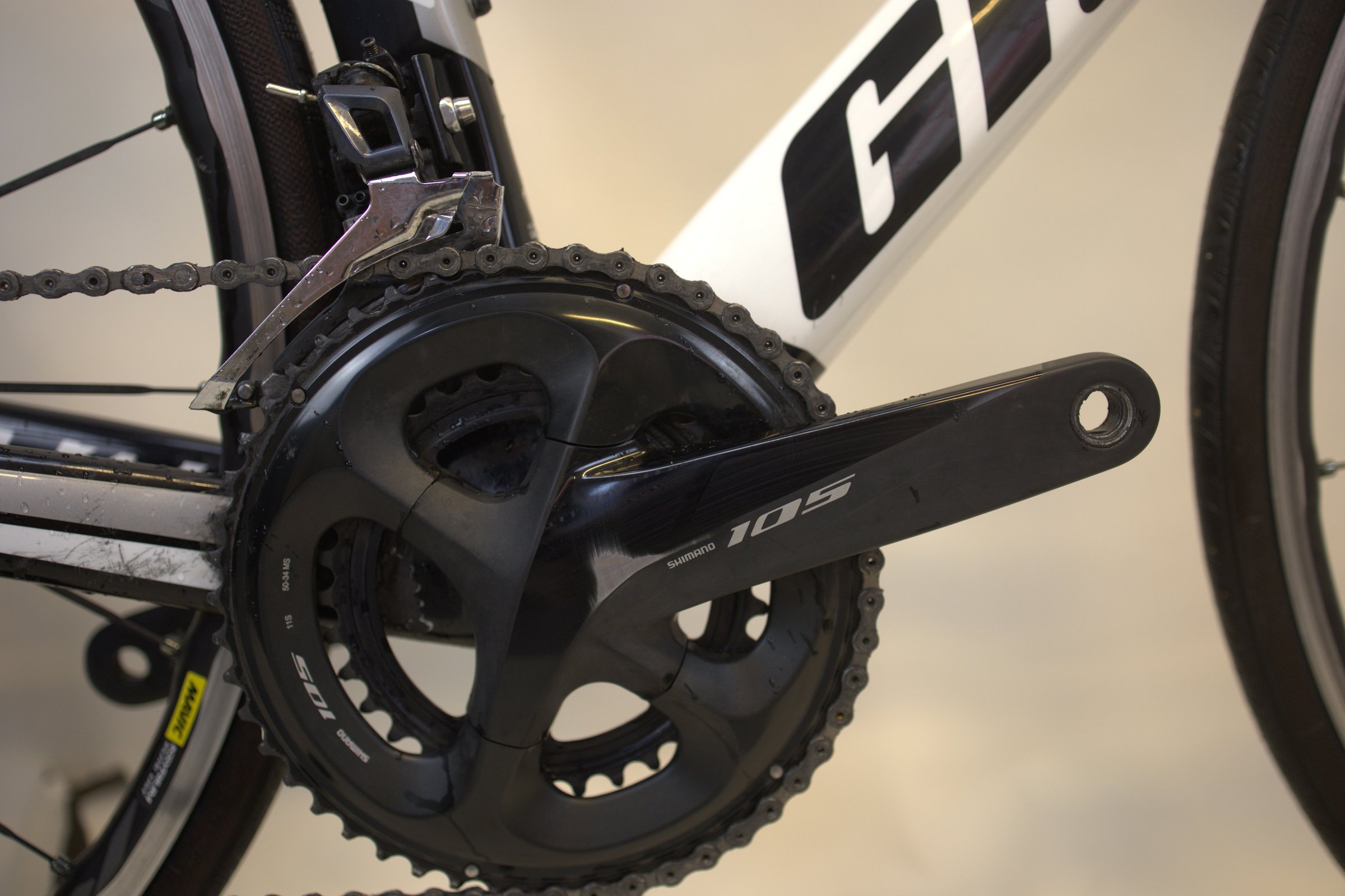 Gavia Imperiale 