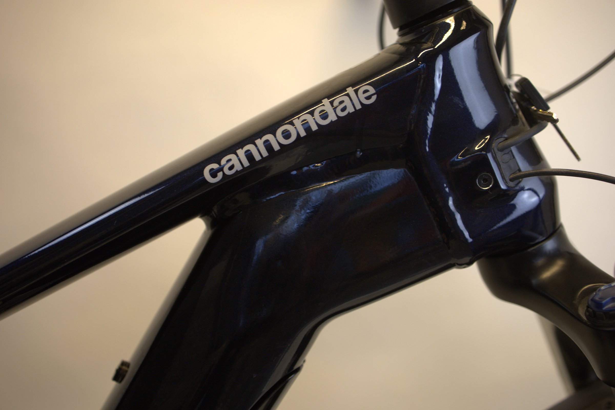Cannondale Tesoro Neo X 2