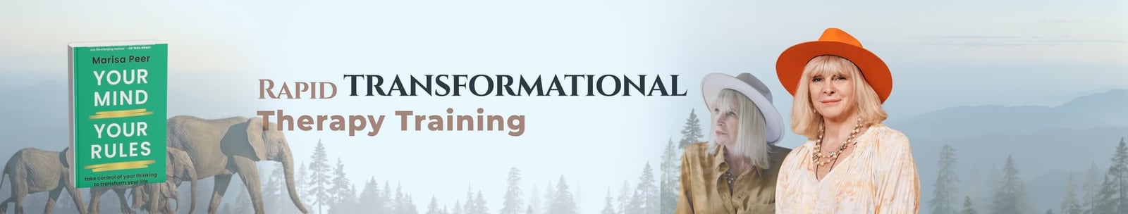 Rapid Transformational Therapy Training banner