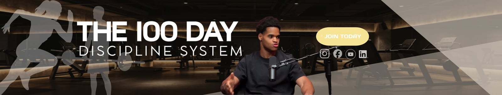 The 100 Day Discipline System banner