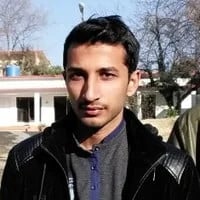 Data Scientist