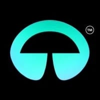 Cyberdelics AI Solutions