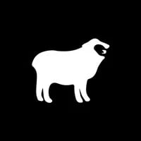 Motion Ram - AllPros