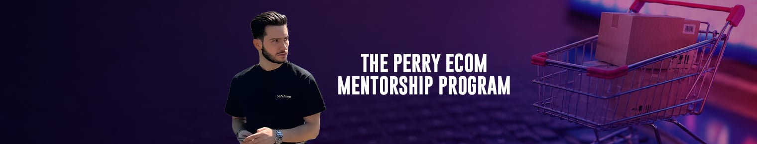 The Perry Ecom Mentorship Program banner