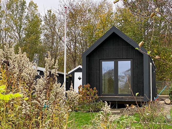 Modern black tiny house with a gable roof and large glass doors, surrounded by tall dried plants and trees.