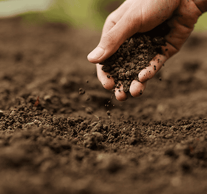 A close-up shot of a person's hand sprinkling dark, rich soil onto a larger area of the same soil. The hand is holding a clump of soil, with small pieces falling down. The soil in the foreground and background is textured and appears moist. The background is slightly blurred, focusing attention on the hand and the soil being scattered.