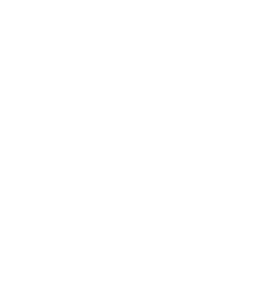 Custom made sustainable icon.