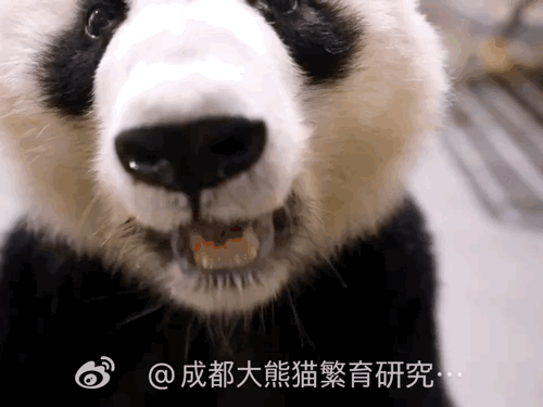 mUWpjk.gif
