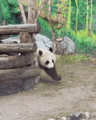 WUPAAW.gif