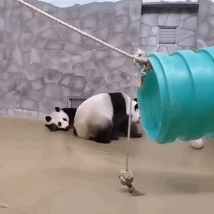 qYdaWX.gif