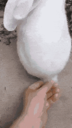 OudbAn.gif