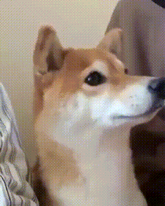 eFIpMt.gif
