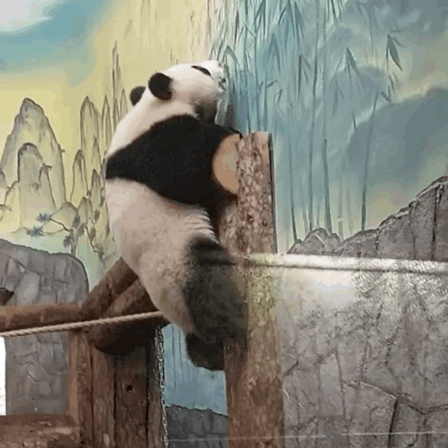 bBcamK.gif
