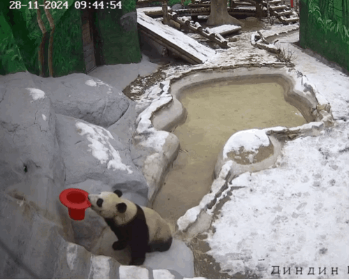JWmEta.gif