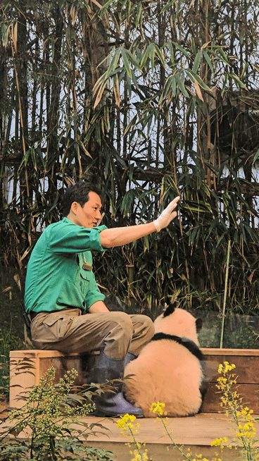 NgeLRI.gif