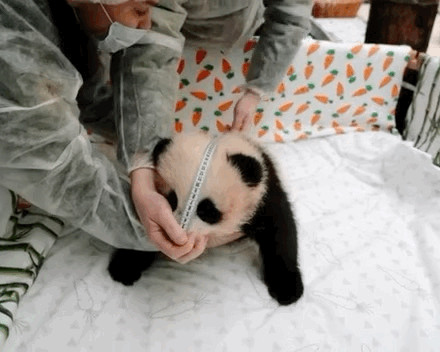 aHUXFu.gif